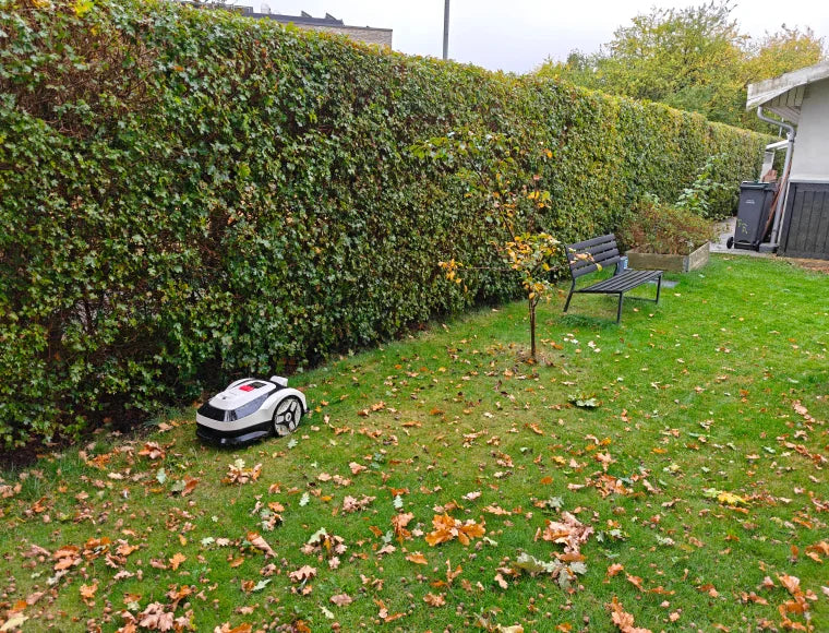 Can a Robot Lawn Mower Handle Fall Leaves? What You Need to Know