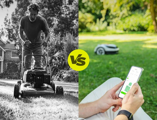 HDblog Reviews Raccoon 2 SE: A Wire-Free Robot Mower Focused on Simplicity and Value