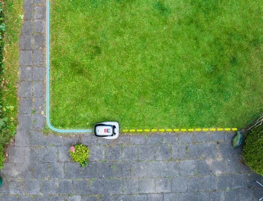 Ride-on Edge: How Raccoon 2 SE Creates Clean Lawn Borders Without Extra Trimming