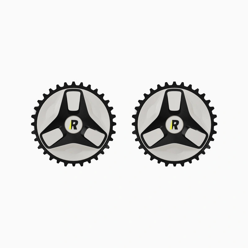 Roue arrière de rechange pour Raccoon 2 SE (2 pièces)